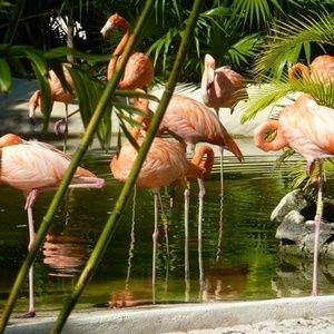 Meet your Posher, Kimm